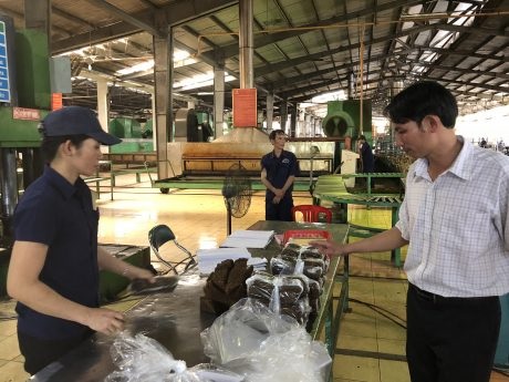 Cao su Bình Long: Sản xuất mủ SVR 10 chất lượng cao từ mủ phụ